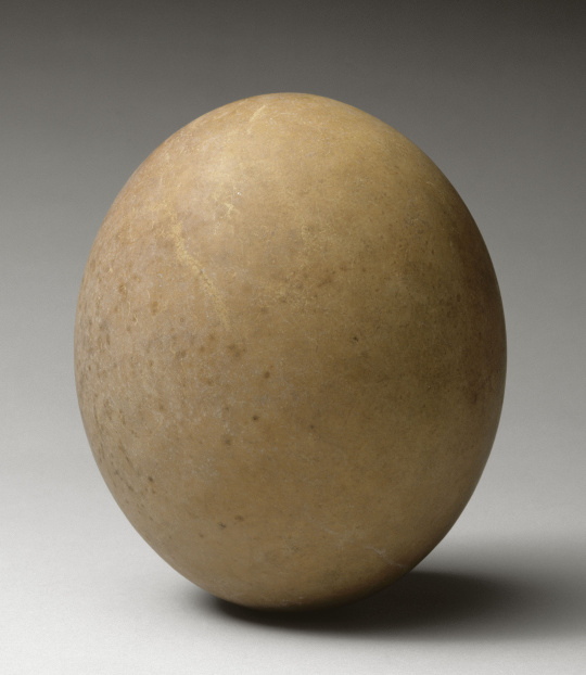| Oeuf d'autruche | Images d’Art