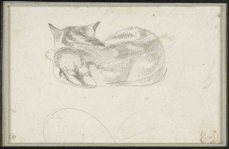 Eugene Delacroix Etude De Chat Couche Vu De Dos Images D Art