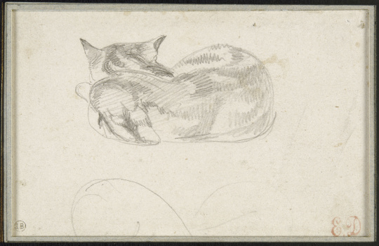 Eugene Delacroix Etude De Chat Couche Vu De Dos Images D Art