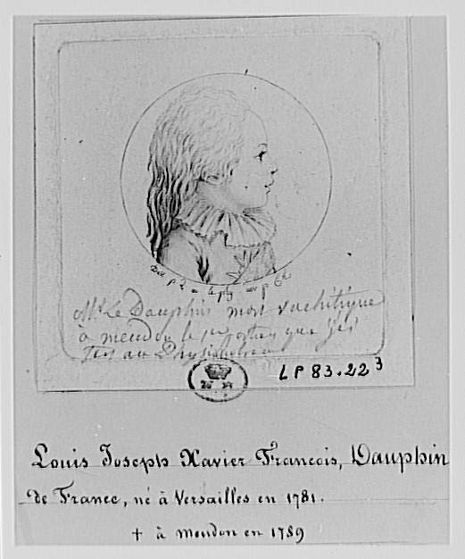 LouisJoseph XavierFrançois de France (17811789