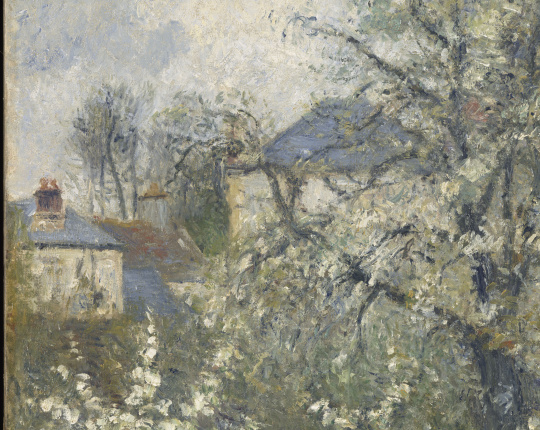 Camille Pissarro | Printemps. Pruniers en fleurs, dit