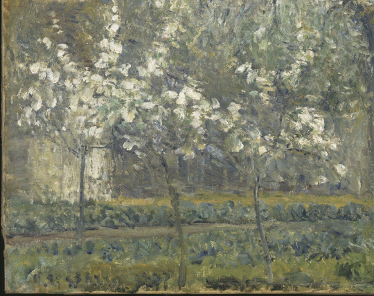 Camille Pissarro | Printemps. Pruniers en fleurs, dit