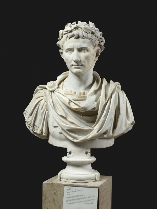 | Portrait d'Auguste avec une couronne de feuilles de chêne | Images d’Art