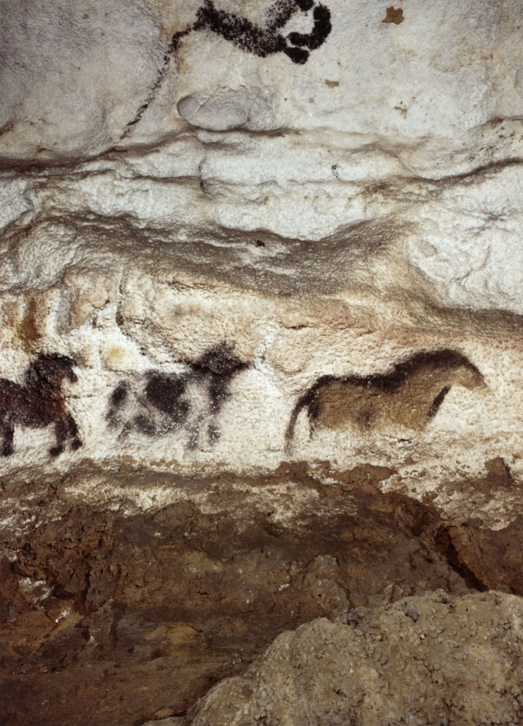 | Grotte de Lascaux : la salle des taureaux ; panneau de la licorne ...