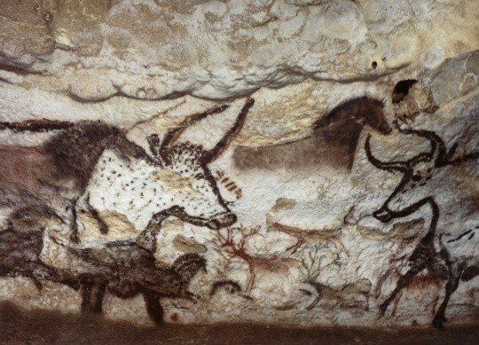 | Grotte de Lascaux : la salle des taureaux ; panneau de la licorne ...