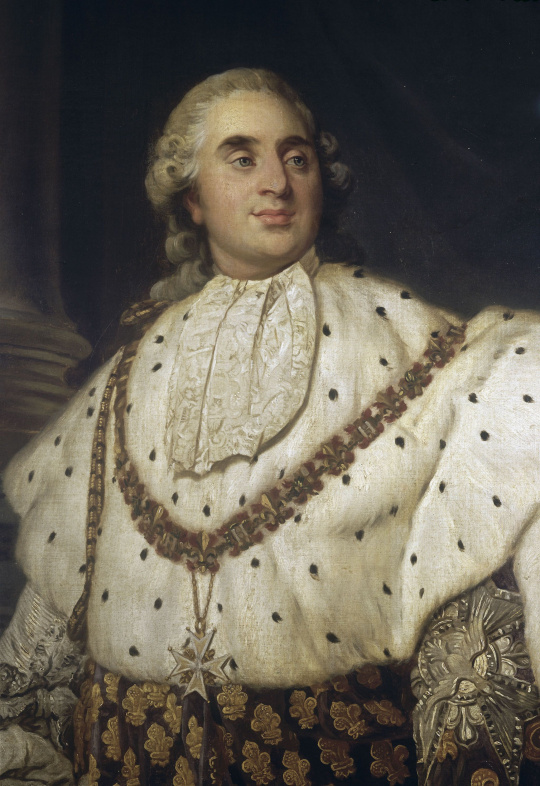 File:Louis XVI en costume de sacre - Joseph-Siffred Duplessis.jpg -  Wikipedia